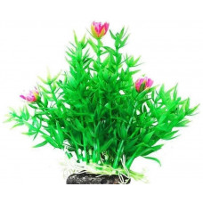Растение аквариумное УЮТ Гемиантус, с розовыми цветами, 12 см