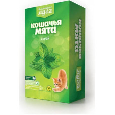 Кошачья мята 