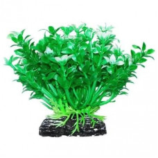 Растение аквариумное УЮТ Микрантемум, зелено-белый, 11 см