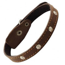 Ошейник для собак кожаный на синтепоне