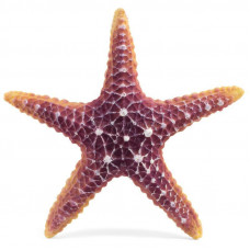 Грот Морская звезда, большая, 160*160*30мм