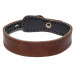 Ошейник двойной  кожаный, 20*200мм