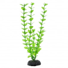 Растение пластиково Бакопа зелёная 20см