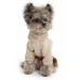 Толстовка LionPets LPK-0431 (Размер M (спинка 27 см)) Толстовка LionPets LPK-0431 (Размер M (спинка 27 см))