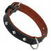 Ошейник кожаный для собак с металлическим украшением черный  35 мм. 51 – 71 см